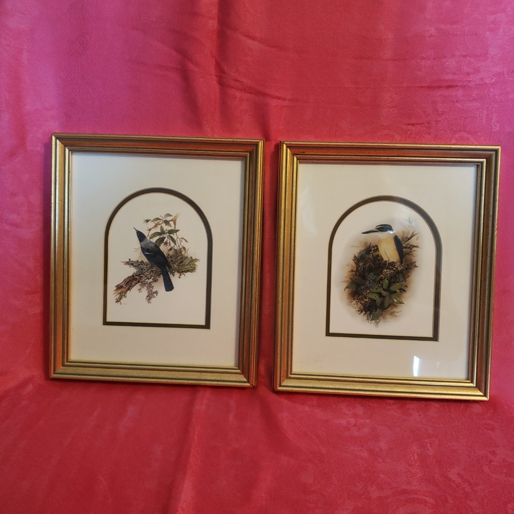 Janet Marshall, New Zealand Artist, Two Bird Prints